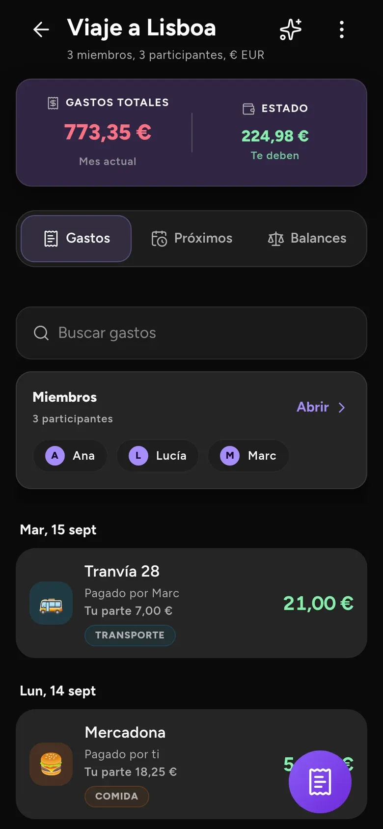 Un viaje compartido: total gastado, lo que te deben y cada gasto del grupo.