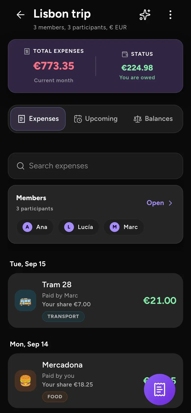 A shared trip: total spent, what you are owed, and every expense in the group.